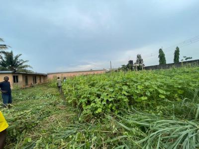 2 Plots of Land, Agura Street, Gberigbe, Ikorodu, Lagos, Residential Land for Sale