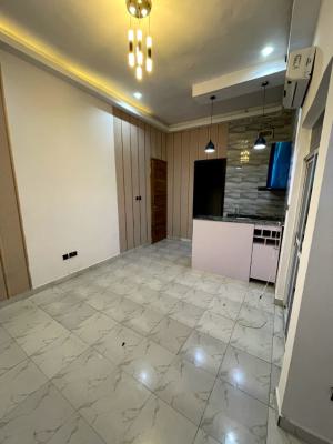 Luxury Mini Flat with 2acs Gym 24hours Light Upstairs, Igbo Efon, Lekki, Lagos, Mini Flat (room and Parlour) for Rent