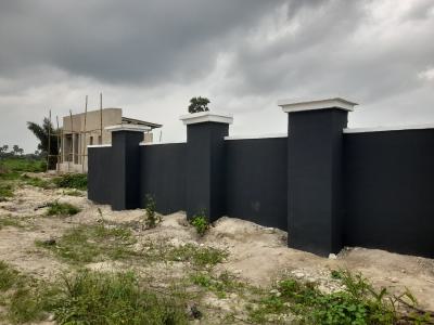 Plots and Acres of Lands in Ibefun, Ogun State, Ibefun, Ijebu Ode, Ogun, Land for Sale