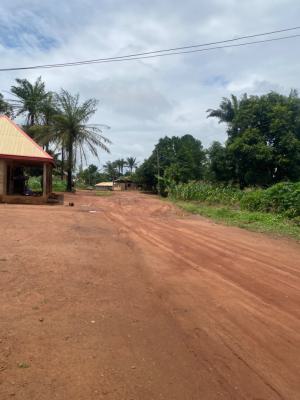 Fast Selling Affordable Lands in Enugu, Nuakh Estate Ogbeke Nike, Enugu, Enugu, Residential Land for Sale