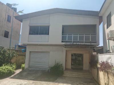 5 Bedrooms Detached Back House with 2 Rooms Bq, Victoria Island (vi), Lagos, Detached Duplex for Rent