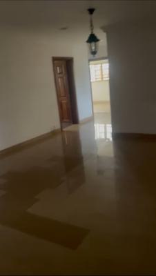 4bed Penthouse Video Available, Lekki Phase 1, Lekki, Lagos, Flat / Apartment for Rent