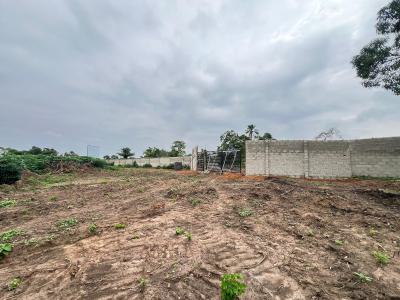 Most Affordable C of O Land in a Strategic Location, Less Than 5 Minutes After Caleb University, Imota, Ikorodu, Lagos, Mixed-use Land for Sale