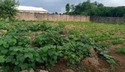 Prime Residential Flat Land* in a High-demand, Fast-developing Area, Jabi Dakibiyu Abuja, Jabi, Abuja, Residential Land for Sale