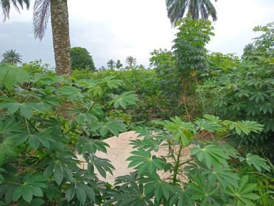 Well Located Two (2) Plots of Table Dry Land, Odani Green City, Elelenwo, Elelenwo, Port Harcourt, Rivers, Residential Land for Sale