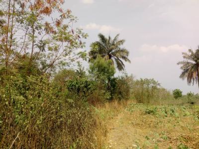 Farm Land Available, Apata, Ido, Oyo, Industrial Land for Sale