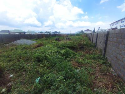 a Flat Residential Land, Wuye, Abuja, Residential Land for Sale
