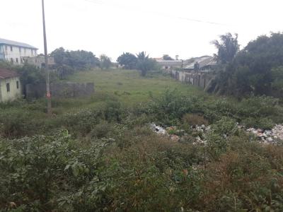 One Acre of Land Available on Badagry Express Way, Along Badagry Express Way Besides Q-brat Zoo, Ilepo Araromi Badagry, Oko Afo, Badagry, Lagos, Mixed-use Land for Sale