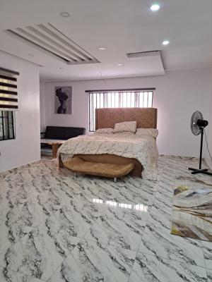 Fully Furnished Mini Flat, Chevron Drive Paradise 3 Estate Chevron, Lekki, Lagos, Mini Flat (room and Parlour) for Rent