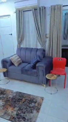 Furnished Newly Built Miniflat Contain with All Modern Facilities, Off Ogudu Road, Ogudu, Lagos, Mini Flat (room and Parlour) for Rent