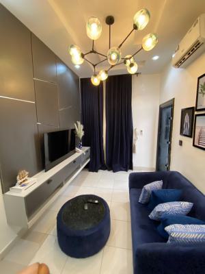 Luxury 1 Bedroom Apartment, Oniru, Victoria Island (vi), Lagos, Flat / Apartment Short Let