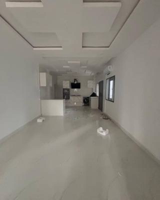 Newly Built 2 Bedroom Serviced Apartment with Swimming Pool, Ikoyi, Lagos, Flat / Apartment for Rent