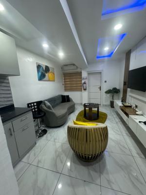 Cozy 1 Bedroom Apartment, Ikeja Gra, Ikeja, Lagos, Mini Flat (room and Parlour) Short Let