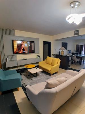 Furnished and Well Finished Two Bedroom Apartment, Off Adeola Odeku, Victoria Island (vi), Lagos, Flat / Apartment for Rent