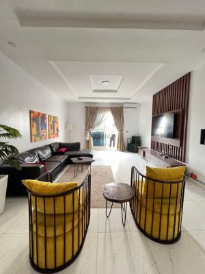 Fully Serviced 2 Bedroom Apartment + Bq, Ikate Elegushi, Lekki, Lagos, Flat / Apartment for Rent