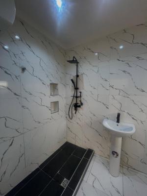 Luxurious 2 Bedroom Apartment with Excellent Facilities, Ikate, Lekki, Lagos, Flat / Apartment for Rent