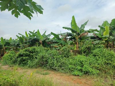 Buy and Build 2 Plots of Land, Obirikwere-airport Road, Port Harcourt, Rivers, Residential Land for Sale