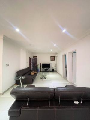 Luxury Furnished 2 Bedrooms with Swimming Pool for Fastest Fingers, Ikate Lekki, Ikate, Lekki, Lagos, Flat / Apartment for Sale
