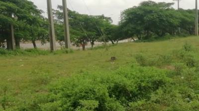 Size:* 1. 42hectare   * Title:* Ammac C of O and R of O, Kukwaba, Abuja, Commercial Property for Sale
