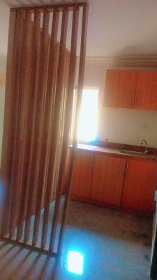 a Neat and Spacious 1 Room Studio Apartment with Open Plan Kitchen, Mike Adegbite, Lekki Phase 1, Lekki, Lagos, Self Contain (single Rooms) for Rent