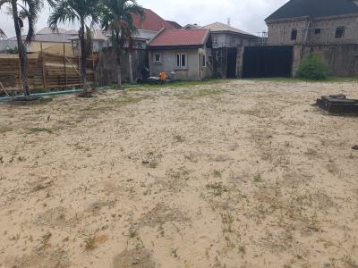 Half a Plot with Cofo in a Developed Estate, Fidiso Estate, Abijo, Lekki, Lagos, Land for Sale