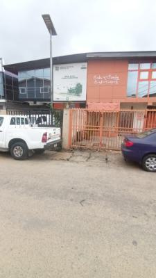 Twins Duplex on 650m2 of Land, Off Toyin Street, Ikeja, Lagos, Semi-detached Duplex for Sale