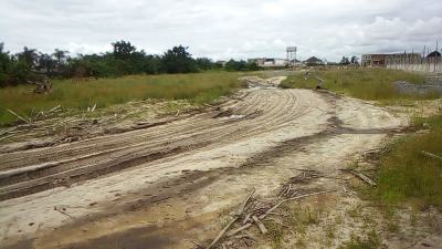 300sqm Buy and Build Land in The Middle of Luxury and Class, Chevron Drive, Lekki, Lagos, Residential Land for Sale