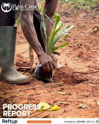 Govt Approved Palm Oil  Plantation with C of O Title, Palm Crest Estate Imeko-afon Local Government Area, Imeko Afon, Ogun, Commercial Land for Sale