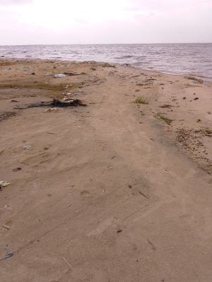 Most Affordable Water Front Land, Off Addo Road, Ajah, Lagos, Land for Sale