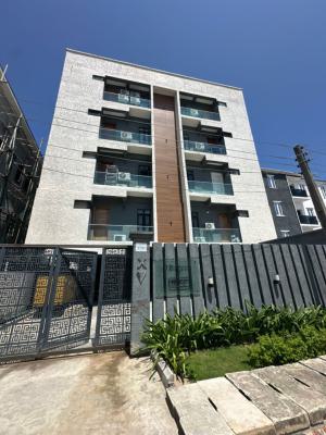 Furnished 2-bedroom Apartment on 2nd Floor, Chisco, Ikate, Lekki, Lagos, Flat / Apartment for Rent