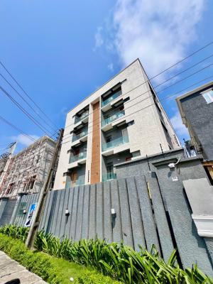 Beautifully Furnished 2-bedroom Apartment with Elevator, Inverter, W-f, Ikate, Lekki, Lagos, Flat / Apartment for Rent