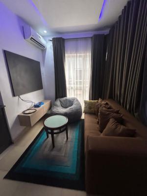 Fully Furnished and Serviced 1 Bedroom Apartment with a Pool and Gym, Off Admiralty Road, Lekki Phase 1, Lekki, Lagos, Mini Flat (room and Parlour) for Rent
