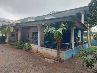 Standalone Commercial Duplex, Wuse 2, Abuja, Detached Duplex for Rent