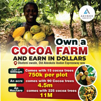 Affordable Cocoa Farm, Obafemi Owode, Ogun, Mixed-use Land for Sale