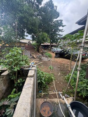 Land in a Secured Environment, 30 Second Drive to Yaya Abatan Road, Ogba, Ikeja, Lagos, Residential Land for Sale
