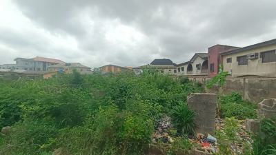 One and Half Plot of Land with C of O, Off Isawo Road, Abule Alfa, Agric, Ikorodu, Lagos, Mixed-use Land for Sale