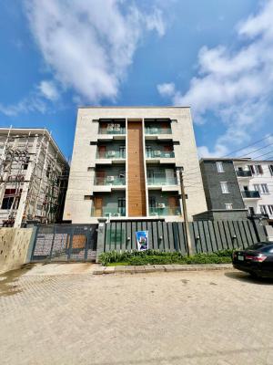 Beautifully Furnished 2 Bedroom Apartment, Ikate, Lekki, Lagos, Flat / Apartment for Rent