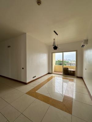 Best 3 Bedroom Apartment on The Market, Ikoyi, Lagos, Flat / Apartment for Rent