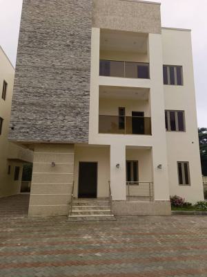 Luxury 6 Bedroom Duplex, Street, Asokoro District, Abuja, Semi-detached Duplex for Rent