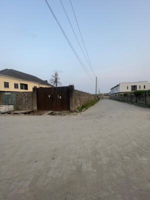 More Than One Plot of  Corner Piece Land 675sqm  for Lease, General Paint Abraham Adesonya Ajah Lagos, Ajah, Lagos, Commercial Land for Rent