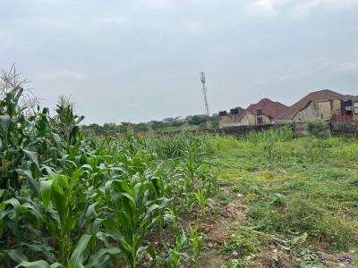 Excellent Urban Plot, Boulevard, Maitama District, Abuja, Residential Land for Sale