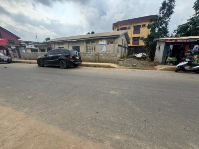 350sqm of Dry Land, Ogba, Ikeja, Lagos, Mixed-use Land for Sale