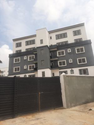 Newly Built and Serviced with 24/7 Power Supply 3 Bedroom En-suite Fla, Ikoyi, Lagos, Flat / Apartment for Sale