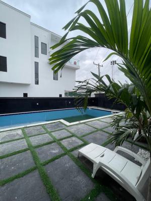 Well Built 4 Bedroom Terrance Duplex with Bq in a Serene Environment F, Ikate, Ikate, Lekki, Lagos, Terraced Duplex for Rent