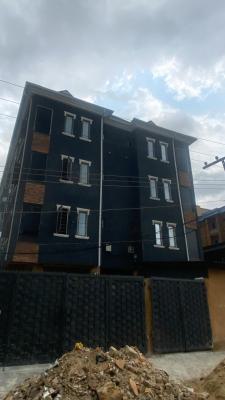 Luxury 2 Bedroom Apartment with Modern Facilities, Alagomeji, Yaba, Lagos, Flat / Apartment for Rent