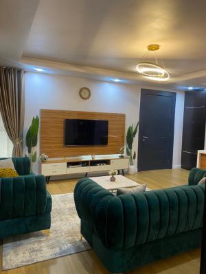 2bedroom Fully Furnished Apartment with Rooftop and Gym, Ikate, Lekki, Lagos, Flat / Apartment for Rent