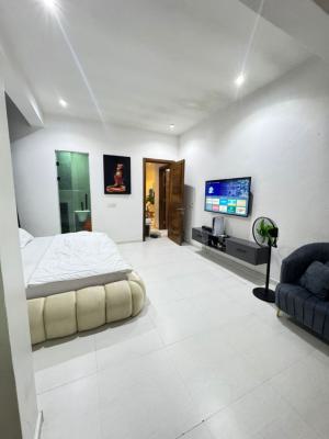 Luxury 2 Furnished 2 Bedroom Apartment, Ikate Elegushi, Ikate Elegushi, Lekki, Lagos, Flat / Apartment for Rent