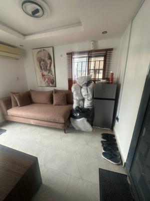 Furnished and Serviced 1 Bedroom Apartment, Secured and Serene Area, Oniru, Victoria Island (vi), Lagos, Mini Flat (room and Parlour) for Rent