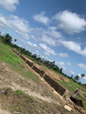 Affordable Estate with 5m Discount,off 2nd Niger Bridge, Allocated Too, Besides 2nd Deputy, Onitsha Head Bridge, Oko Market, Asaba Airport, Asaba, Delta, Mixed-use Land for Sale