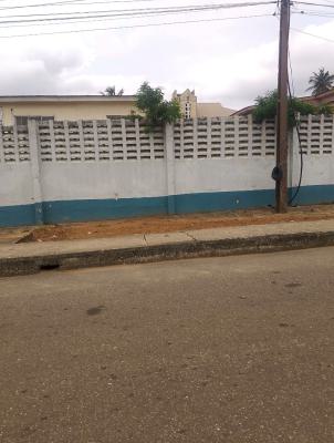 Detached House with Bq on 1200m2 of Land, Off Adeniyi Jones Ikeja, Adeniyi Jones, Ikeja, Lagos, Detached Duplex for Sale